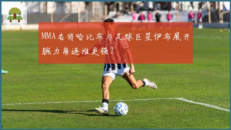 MMA名将哈比布与足球巨星伊布展开腕力角逐谁更强？