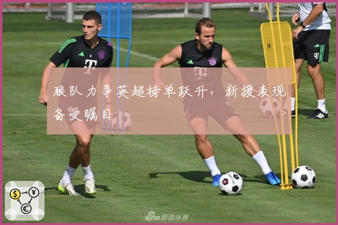 狼队力争英超榜单跃升，新援表现备受瞩目