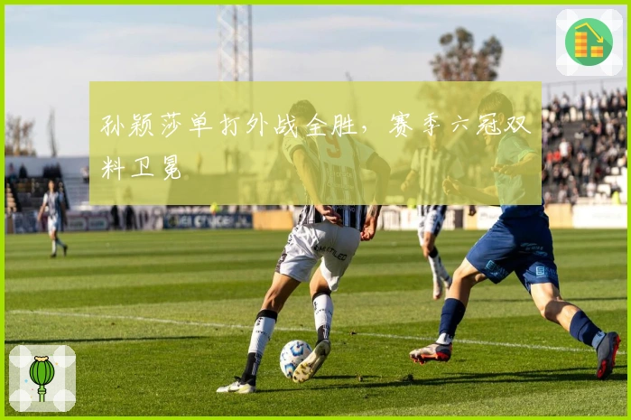 孙颖莎单打外战全胜，赛季六冠双料卫冕